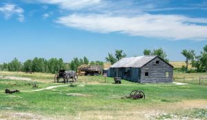 The Prairie Homestead